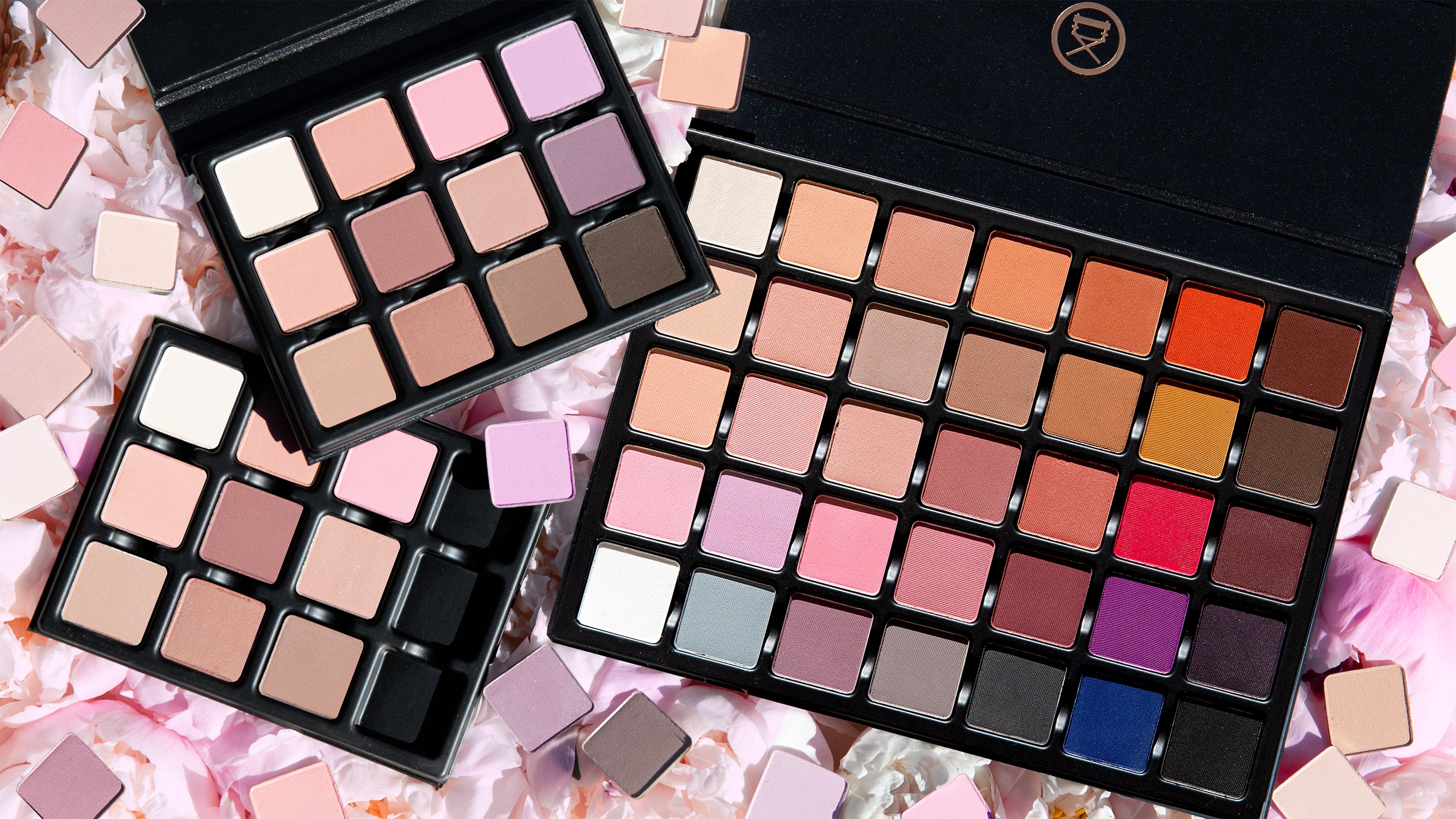 Open VisePRO™ Paris Mattes Étendu 12-pan palette on a ballet-inspired background featuring pressed powder eyeshadows in delicate pink, beige, mauve, and espresso hues along with the GP1x 35 pan palette