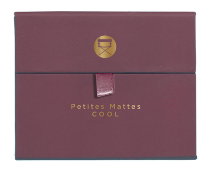 Viseart Paris Mattes Cool Eyeshadow Palette Case
