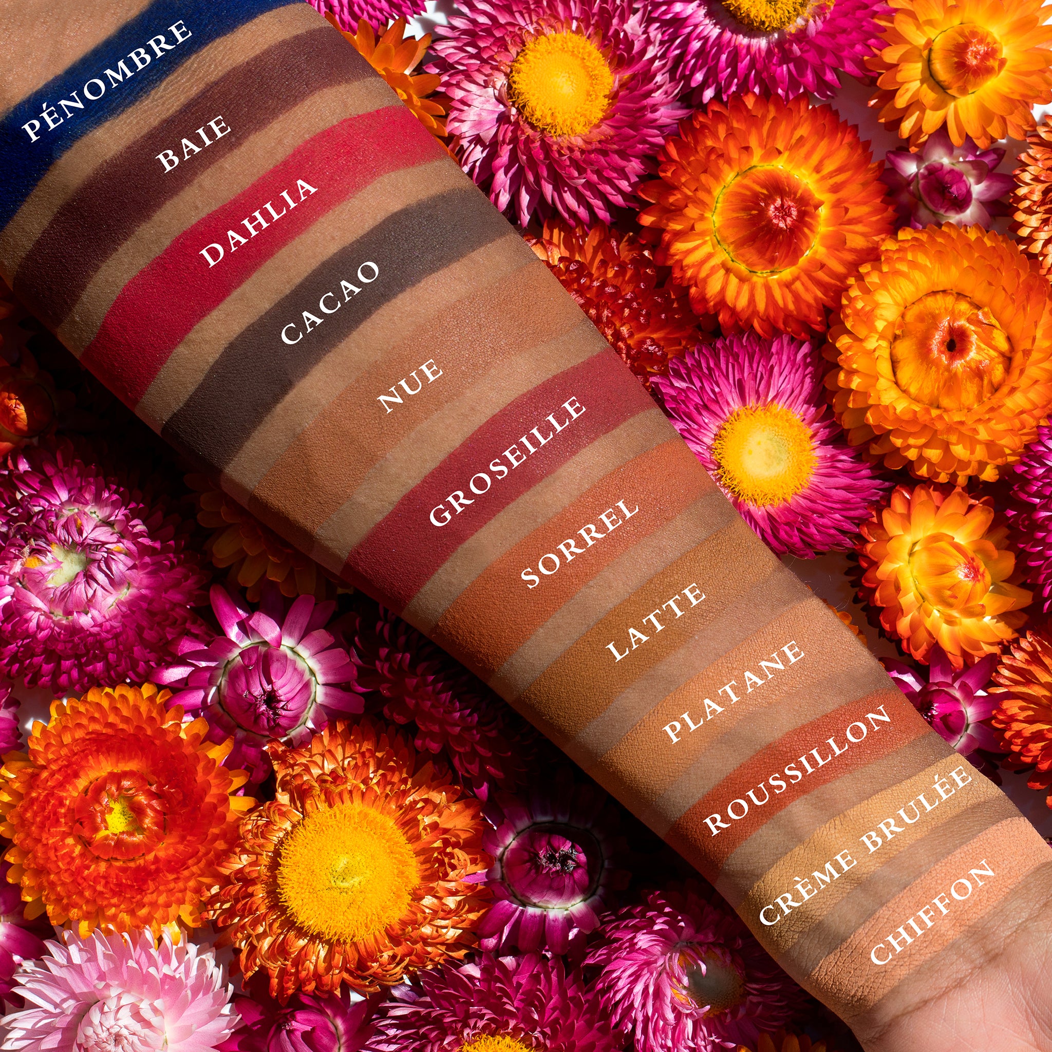 Swatches of matte neutral shades on deep skin, including rich browns and taupes, for sculpt, brow, and crease definition.