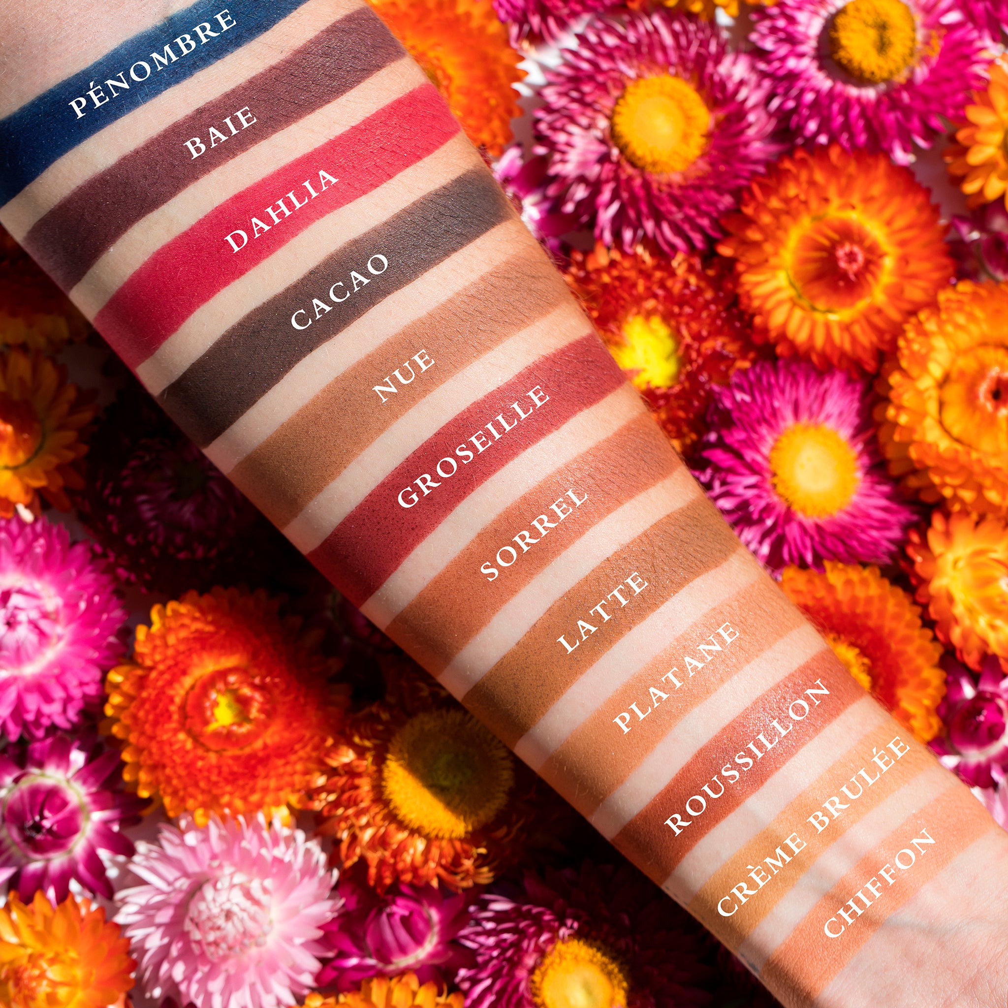 Swatches of matte neutrals on fair skin, from ivory to chocolate brown, perfect for blending and soft sculpting.