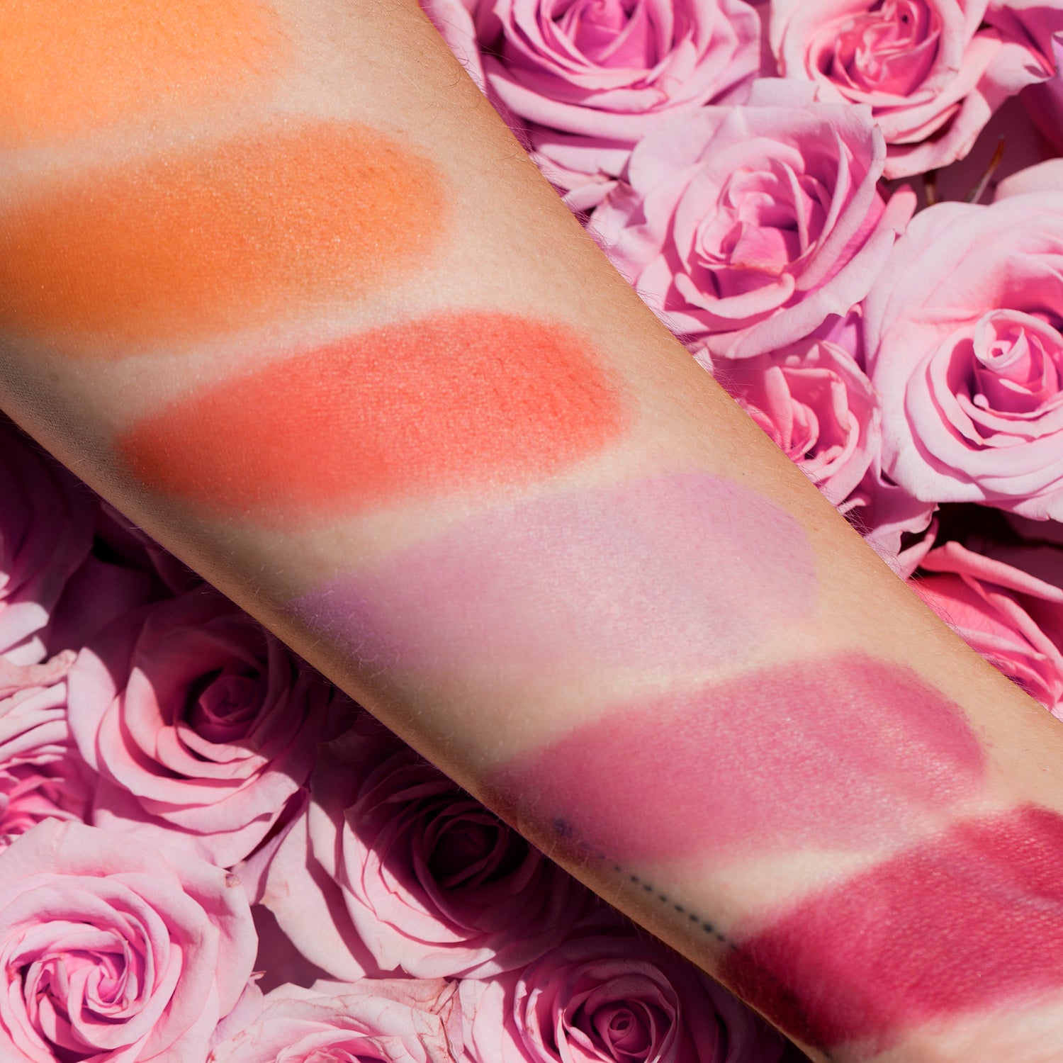 Swatches of rose and coral blush tones on fair skin, showing blendable matte pigment.