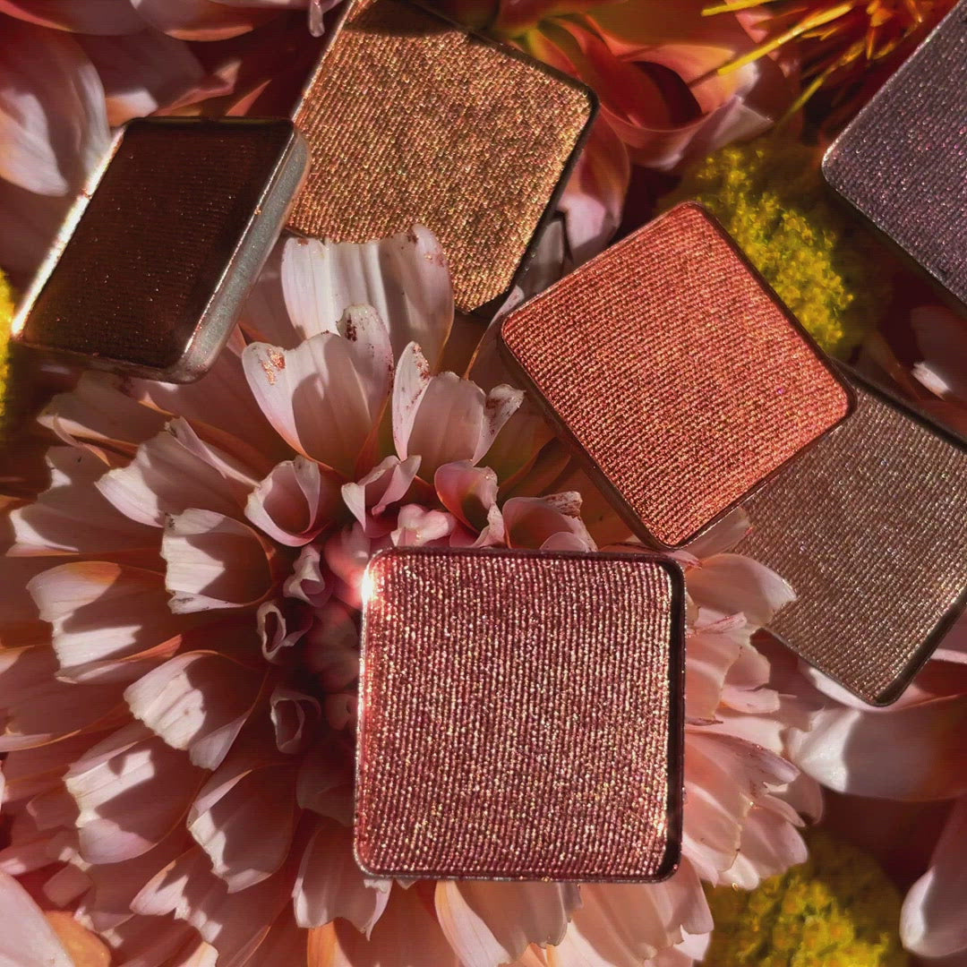 Viseart Paris Minxette Etendu Singles of rich warm neutrals including espresso, bronze, and terracotta with matte, satin, and shimmer finishes.