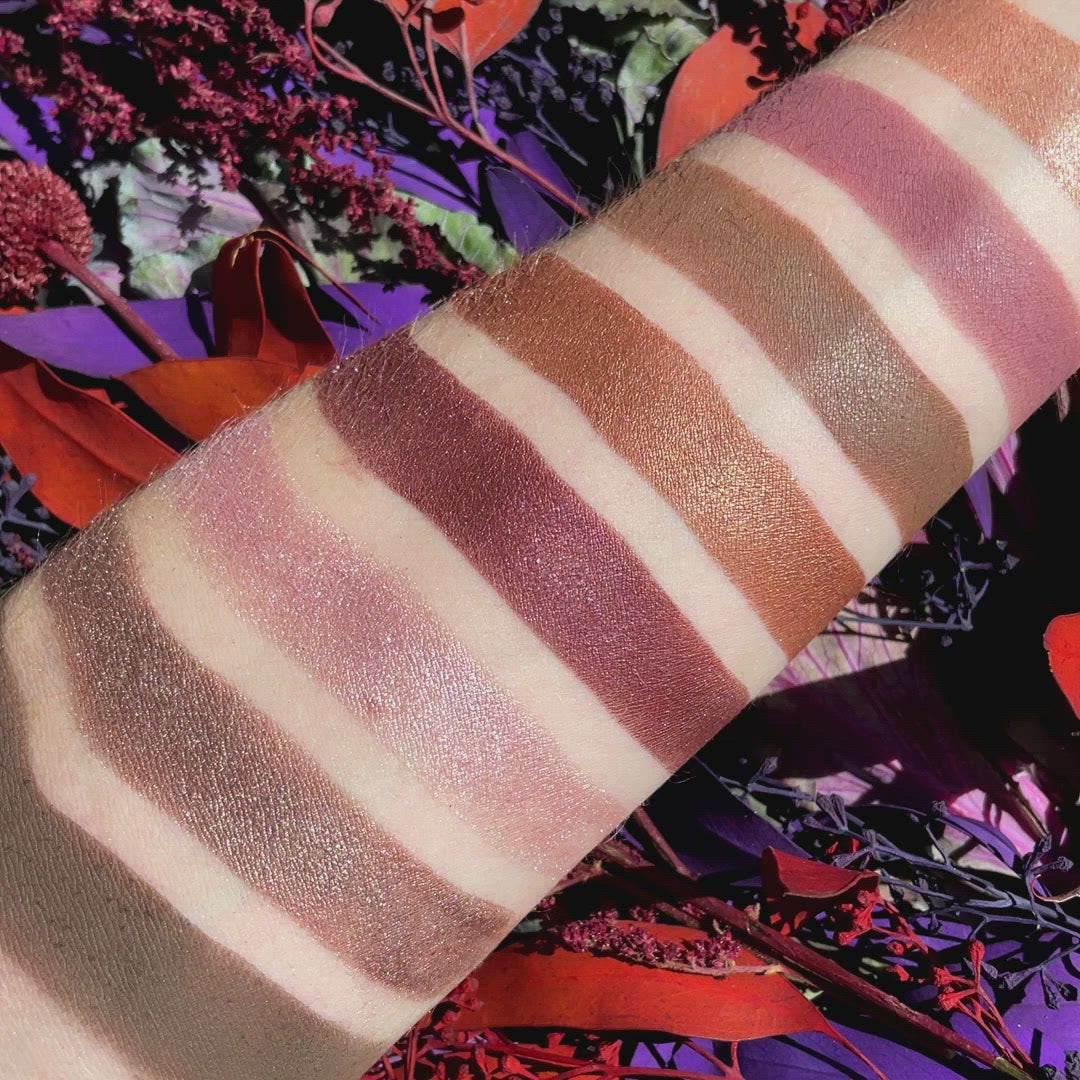 Viseart Paris Cashmerie Etendu Swatches