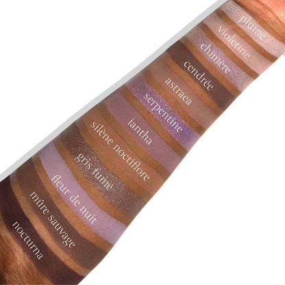 Swatches of Violette Nocturne Étendu shades on diverse skin tones