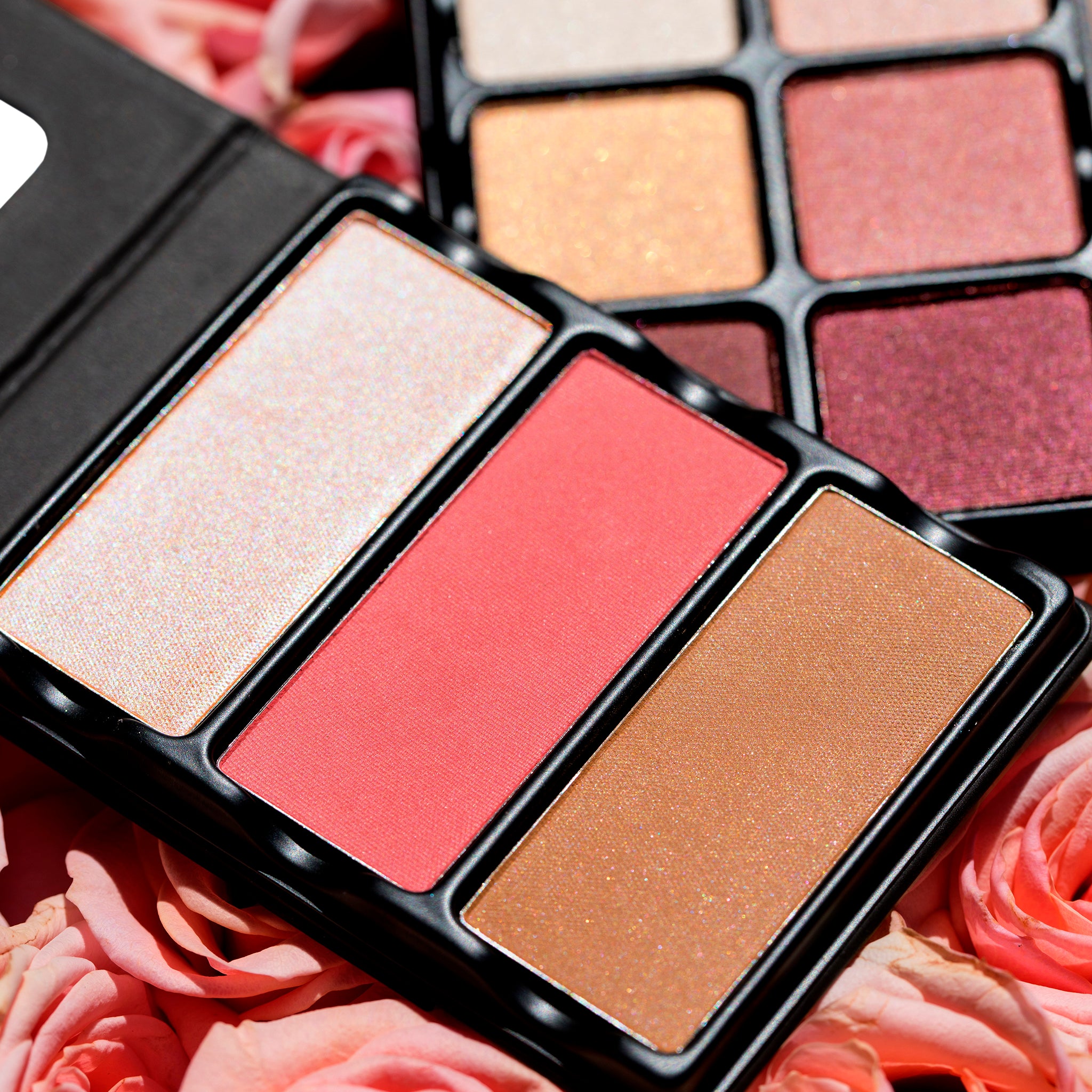 THEORY II ABLAZE BLUSH