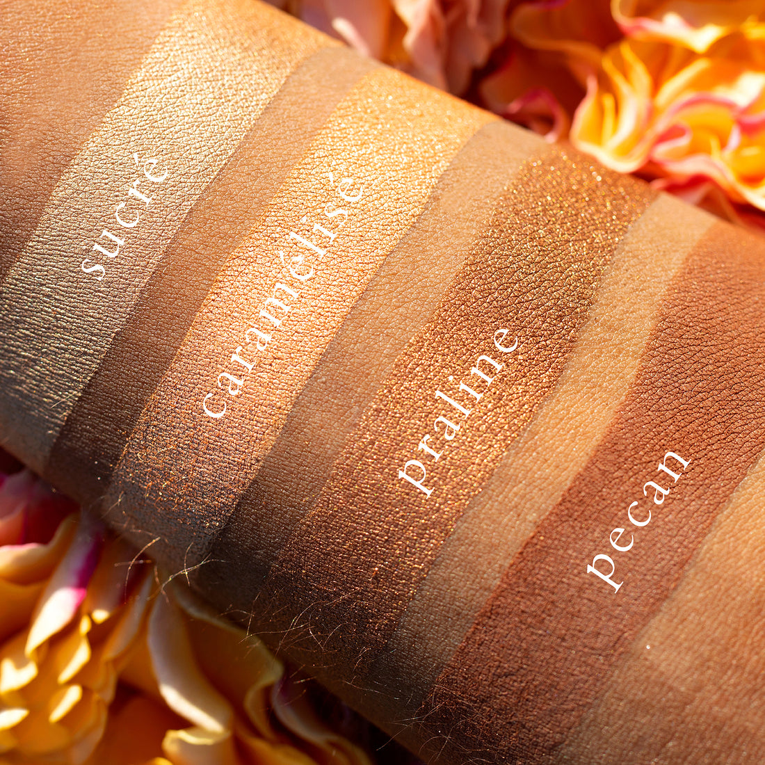 Swatches of Petits Fours Praline on deep skin, showcasing golden bronze, matte brown, and soft taupe shimmer.
